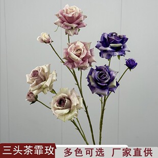 �����õ��ͯԒ�Lõ��c��Y�Ƶ��b����ڒ����ͻ����Ų廨