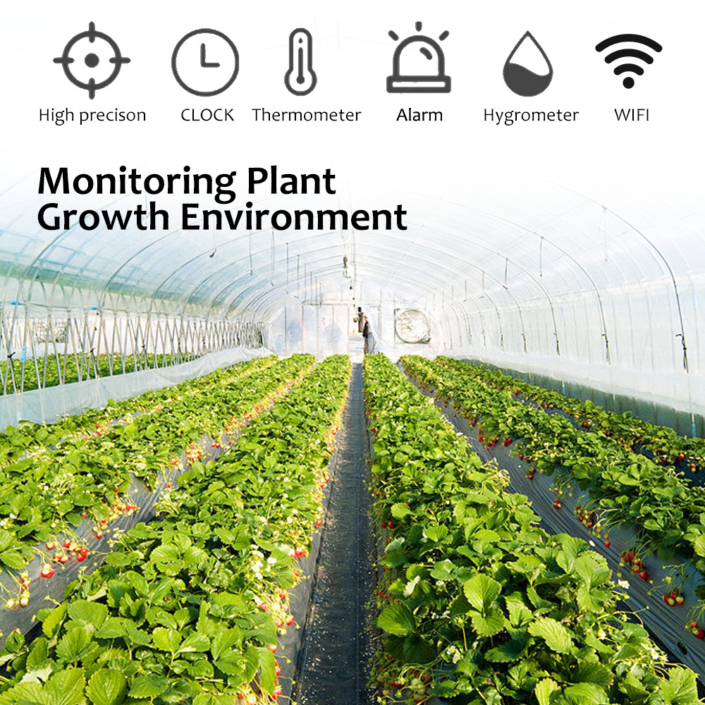 대외 무역 낙서 WIFI 온도 및 습도 측정기 실내 가정용 일산화탄소 감지기 두 개의 스마트 센서
