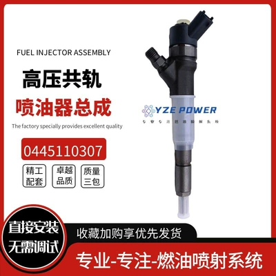 Oil pump, nozzle 6271-11-3100 0445110307 Fuel