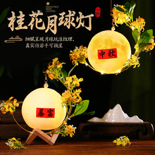 �W�t����������﹝�Շ��[��ֹ�DIY�������ϰ����h���L�b�