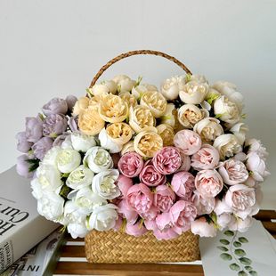 9�������_��¶ɏ���@�ٻ���c���ļҾӿ͏d�����[�O�ֹ��ٻ����l