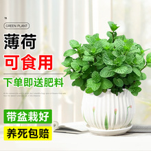 ���象�����Կ�ʳ�ô�����þGֲ�҃��Ե����ļ����ֲ��؈�����~