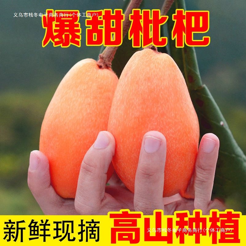 四川高山枇杷鲜果新鲜应季水果枇杷果当季大五星甜琵琶整箱批发无