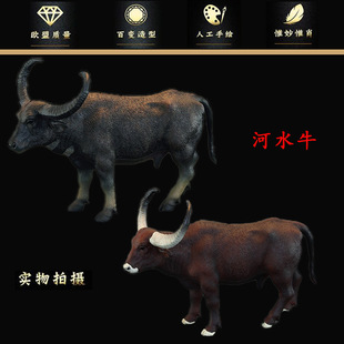 �羳���ķ��������߄���ģ�� ˮţ ��ˮţ��ˮţ��ͯ�J֪�YƷ�[