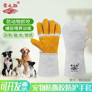 �Ӻ���ţƤ��ҧ��������ţƤҰ�����������˺ҧ��؈���{���ς�