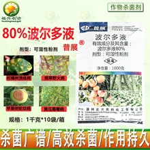 ��չ80%������Һ���٘� ����Ұ��݆�y��˪ù����@������