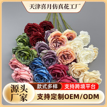 ���^��֦õ����滨õ�tɫ�ٻ���Y�쾰�ٻ��b�õ�廨���滨��