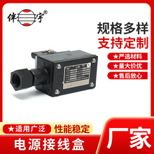 江苏厂家电伴热带防爆电源接线盒三通二通终端接线盒加热带配件