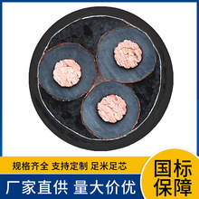 WDZCN-YJY22 WDZAN-YJY23 WDZBN-YJY33 6/10KV͟ouЉ|