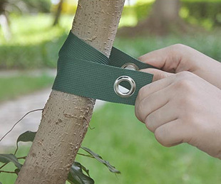 ���L�䎧��ľ�����·Nֲ��ľ���Z�L���͎��حh���۹̶�����