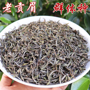 С�~��ؕü�˲�2017�긣��Ⱥ�w�N��ɽС�ײ贺������ؕü500g