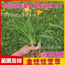 �������l����� ��������� ���̾G����ľ؛Դ���� ����ă�