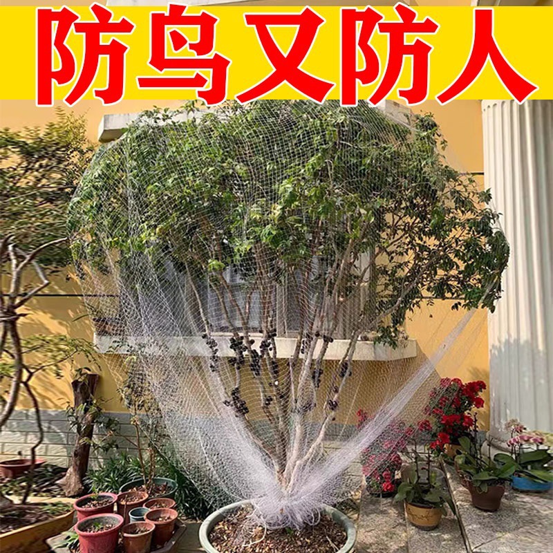 子网罩防护罩果树果子樱桃树葡萄尼龙网防鸟网防鸟网蔬菜