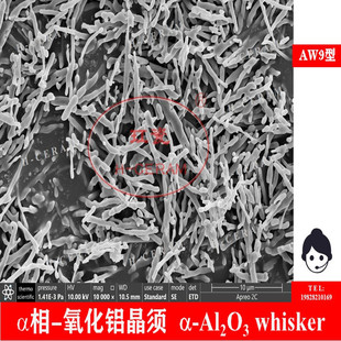 a�������X��� �Y��AW9�� Alfa-Al2O3 whisker 99.9% �L��<1600��