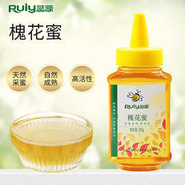 蕊源蜂蜜槐花蜜枣花蜜500g中国四大名蜜成熟封盖蜜瓶装源头批发