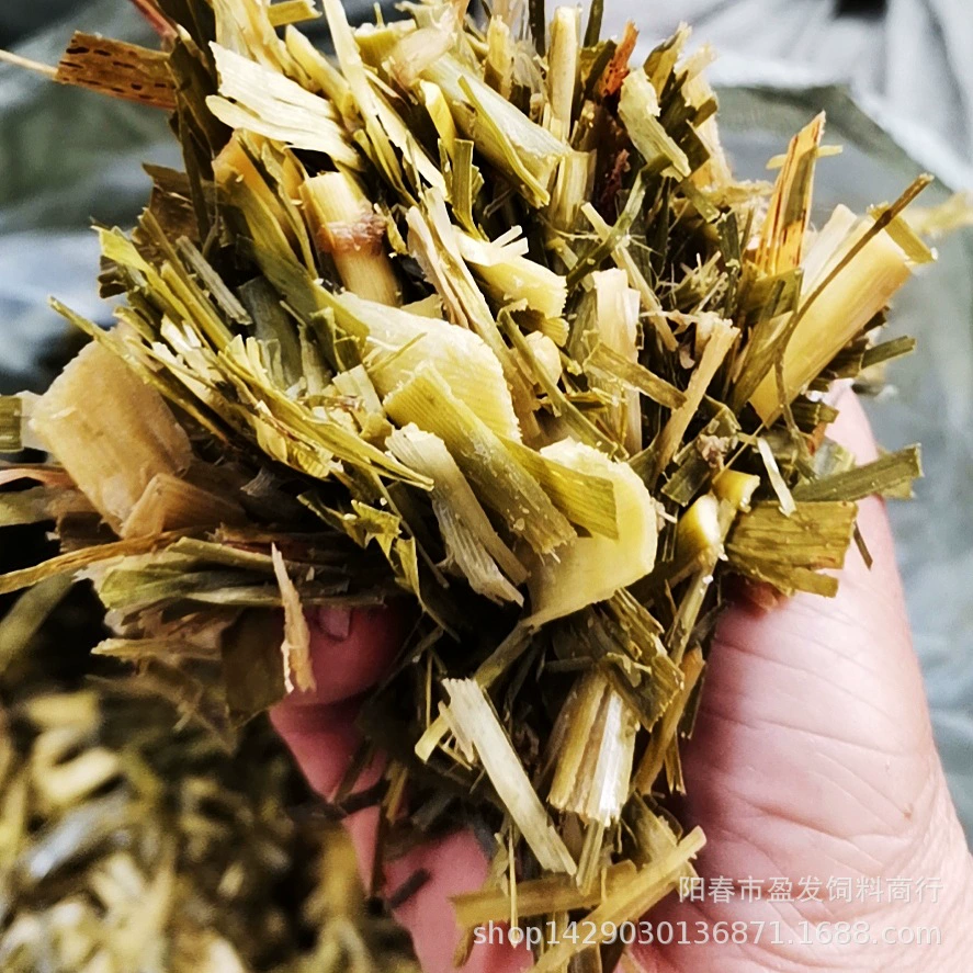 Силосный корм для силоса Корм для крупного рогатого скота Корм для крупного рогатого скота Корм для сахарного тростника Ферментация Корм для корма Гуанси