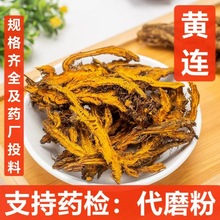 中药材批发 黄连 四川黄莲 新货  黄连片  支持药检 代磨粉