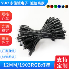 厂家直销LED12mm灯串WS2811/1903灯串线彩户外防水节日装饰灯
