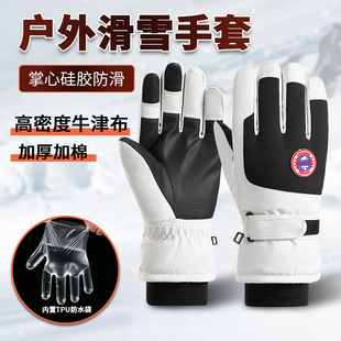 Ski Gloves for Men and Women in Winter Cycling Cold-proof Anti-slip Fleece-lined Thickeneded Warm Touch Screen Wind-resistant Ski Gloves Tram
