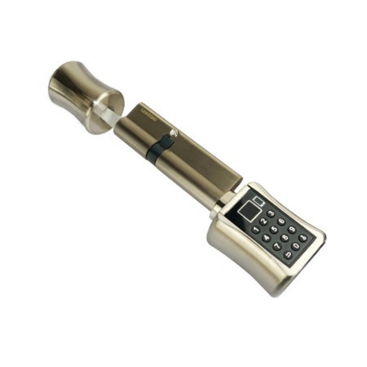 Transfronteriza al por mayor inteligente de huellas dactilares de bloqueo interior TTLOCK paso de bloqueo de oficina apartamento esférico de bloqueo de aplicaciones de graffiti