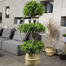 �u�X���������ӓu�X����X�Ř��҃�ͥԺ���^Ȥζ���^ֲ���ļ�����