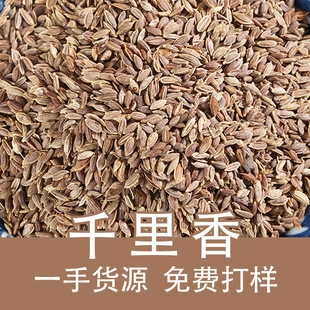 ǧ�����������f���������������P�}����Ȼ�����������{ζ������