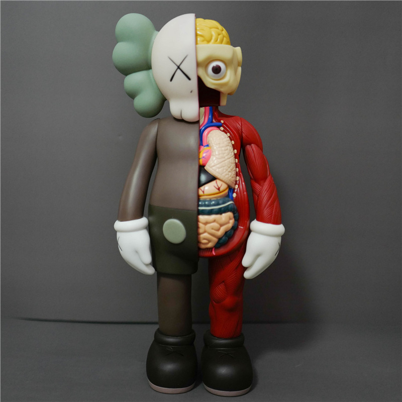 半解剖褐-37cm