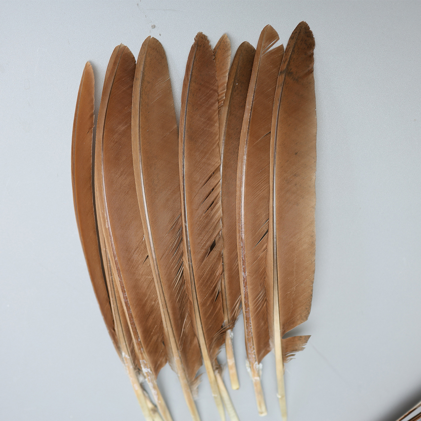 Fábrica al por mayor de bricolaje plumas pequeñas plumas naturales plumas de pollo salvaje plumas de pato jardín de infantes joyas hechas a mano gato divertido material de captura de sueños