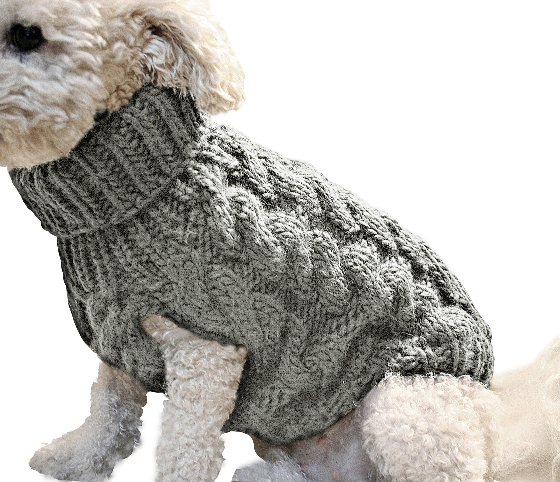 Pet Clothing Image 5
