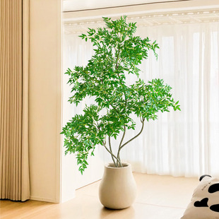 ����Gֲ�͏d���Ը߶��p���������҃ȴ��ͷ���ֲ���쾰�b��辰