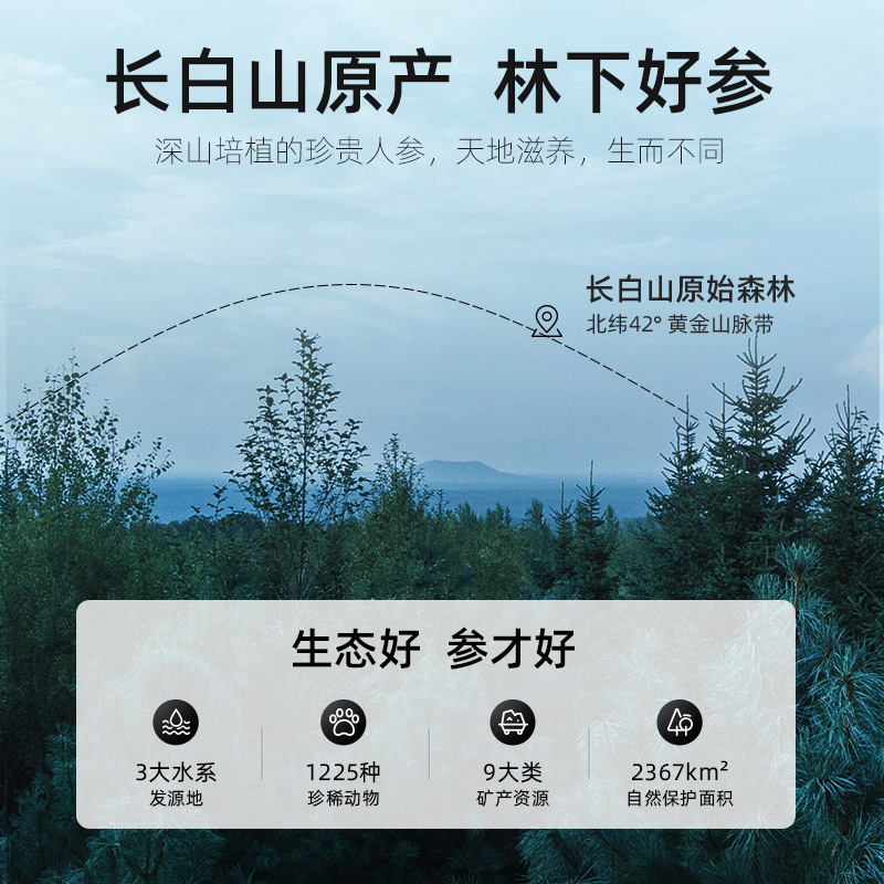 杞里香红参片 25g吉林红参泡酒煲汤泡水大片各种尺寸代发|undefined