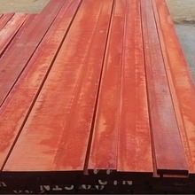 �M�ڄ�������t����ľ���