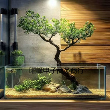 ˮ��÷ˮ���~���쾰�����Gֲ�ļ�����������������Ϸ����Ϙ���