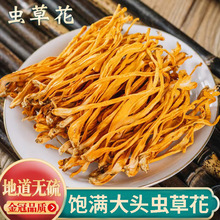 ��Ʒ�x�ݻ�Ӽ�x����؛��ș��500g���x�����^�����x�ݹ������Ҝ���