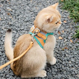 Cat Leash, Cute Vest-Style Harness, Anti-Breakaway Kitten Velcro Safety Buckle, Reflective Pet Cat Walking Leash