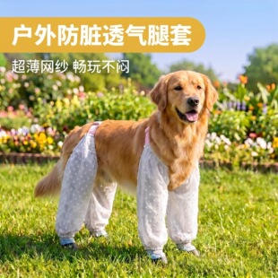 �ļ��p�����m���K�������_ѝ�L�Ⱦ��F��ë���������д�Ȯ�o������