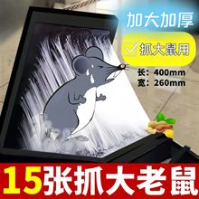 6B6ճճlӴӺÜ岶}쳬