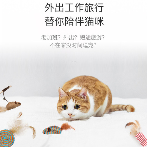 Cat toy set, feather wand with 7 pieces, colorful paper rope, feather, cloth mouse, fabric toy, wooden stick, cat teaser