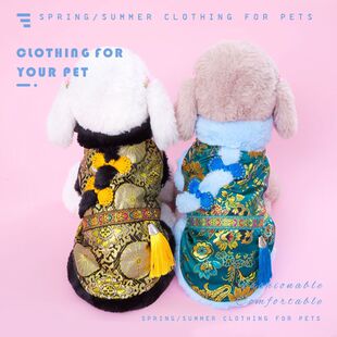 Teddy Dog Dog Clothes Thickened Winter Clothes Cat Bitter Bear Bomei Small Dog Two-legged Tang Dog Clothes Autumn and Winter Jieqi