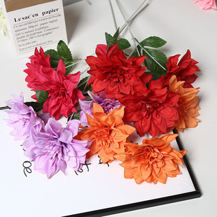 ���滨3�^������ ������ș�� �¿�Y�ò廨���ٻ� ��cӭ�e�^�b�