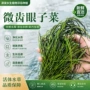 植物水域水生河道水草