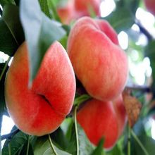 �F�ڹ�������Ҙ��������t� ����������õ��޽��� ����Y��