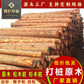 批发河道打桩木杉木桩驳岸护堤水利工程奥松铁杉原木松木桩可削尖
