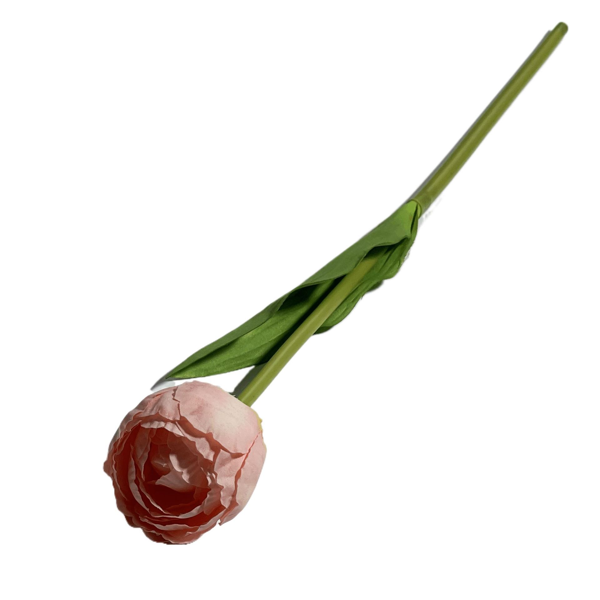 아이스크림 튤립 - 샴페인 그라데이션