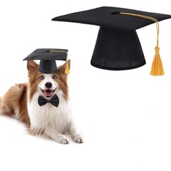 跨境亞馬遜新款寵物畢業小狗流蘇博士帽學生派對用品寵物小帽子