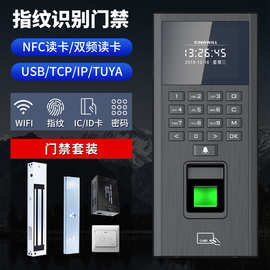 指纹门禁系统一体机玻璃门涂鸦锁TUYA APP刷卡电磁力锁电插锁套装