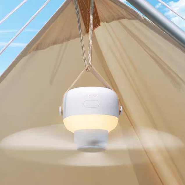 Rechargeable Small Rental House Toilet Ceiling Fan Hanging Bed Bathroom Fan Portable Home Silent Multi-Function Remote Control