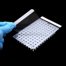 PCR封板膜 PCR Sealing Film