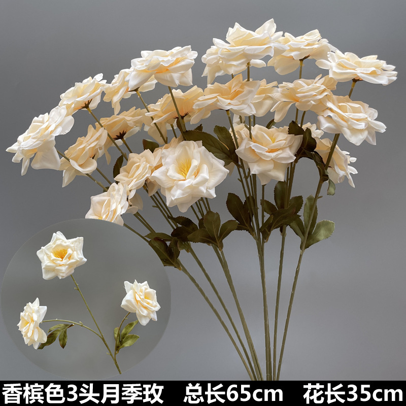 シャンパン色の結婚式の花の花の花の材料の結婚祝いの装飾の花の講堂の装飾の花のプラスチックの花の道は花の造花を導いています。|undefined