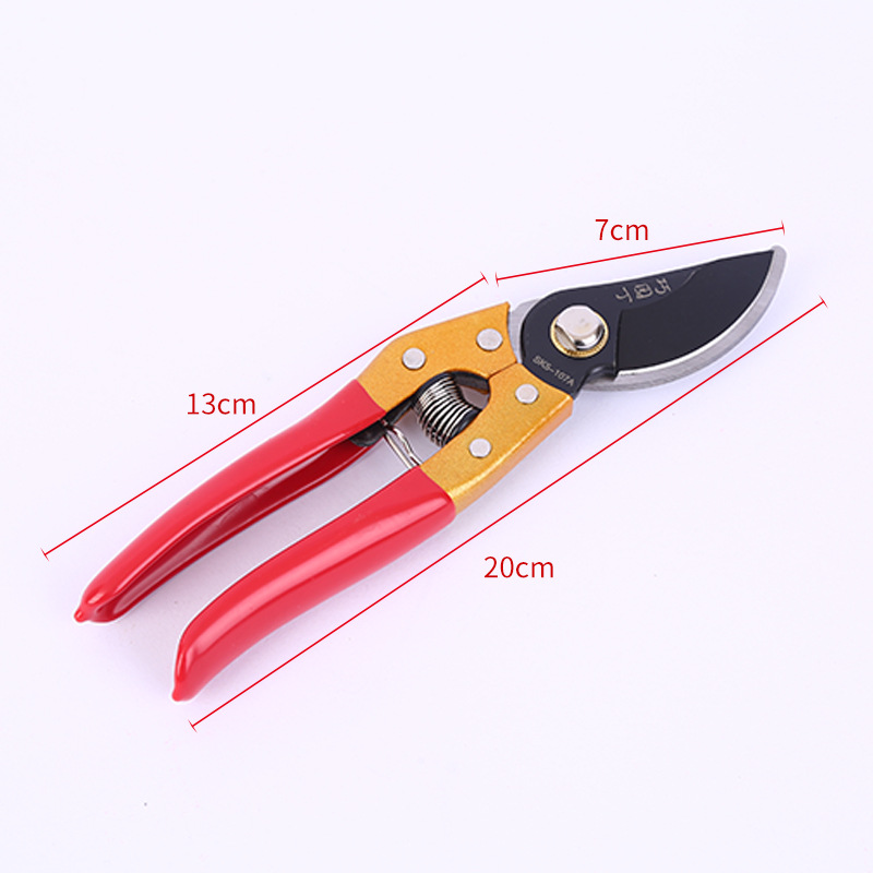 107A Teflon cộng với Kéo cắt tỉa trái cây cứng